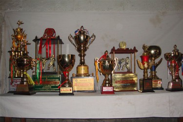 Karate Nepal Prizes