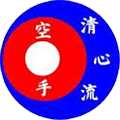 Seishin-Ryu Karate